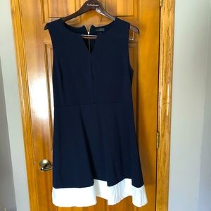 Navy and White Knit Dress